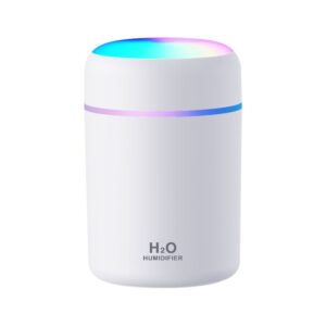Humidifier